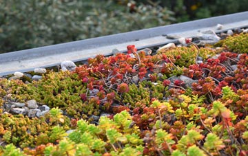 the cost of Rough Close green roof installation
