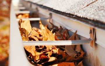 Rough Close gutter cleaning companies