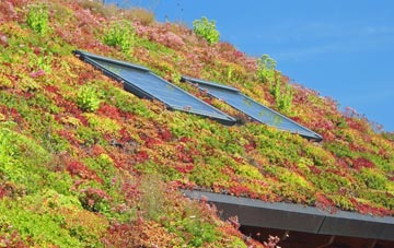 Rough Close living roof systems
